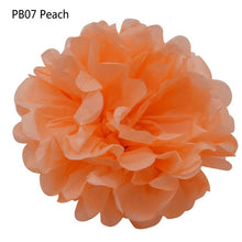 Load image into Gallery viewer, 5pcs/lot 10 15 20 25cm Tissue Paper Pom Poms Paper