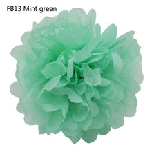 Load image into Gallery viewer, 5pcs/lot 10 15 20 25cm Tissue Paper Pom Poms Paper