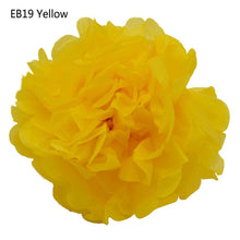 Load image into Gallery viewer, 5pcs/lot 10 15 20 25cm Tissue Paper Pom Poms Paper