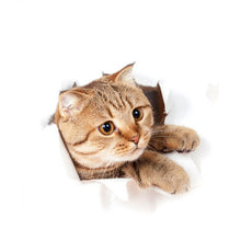 Load image into Gallery viewer, 1pc 9 Styles 3D Cat Pattern Wall Sticker View Vivid Kitten Home