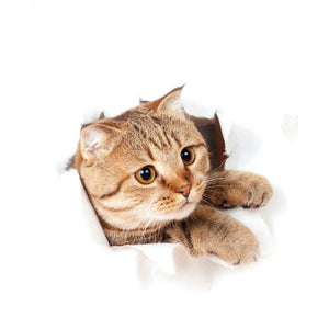 1pc 9 Styles 3D Cat Pattern Wall Sticker View Vivid Kitten Home